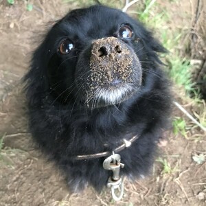 Fundraising Page: Quincy PAC Alum